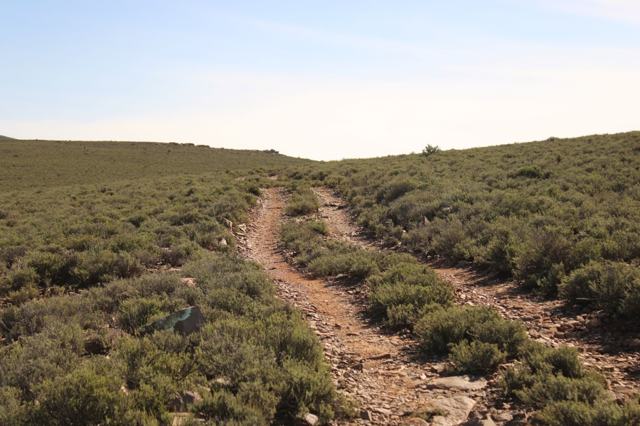 5 Bedroom Property for Sale in Fraserburg Rural Northern Cape